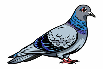 Pigeon Dove Bird Sketch vector illustration