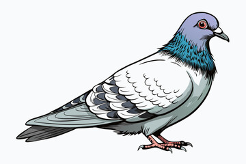 Pigeon Dove Bird Sketch vector illustration