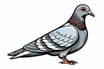 Pigeon Dove Bird Sketch vector illustration
