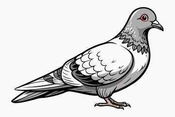 Pigeon Dove Bird Sketch vector illustration
