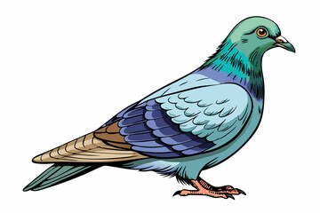 Pigeon Dove Bird Sketch vector illustration