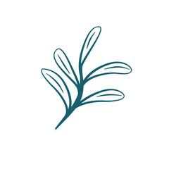 hand drawn leaf vector. leaf illustration. leaves illustration. aesthetic leaf illustration. simple leaf flat illustration.