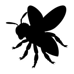 Vector Honey Bee