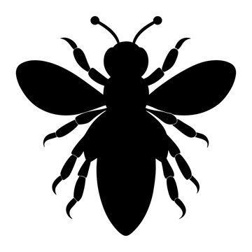 recommend clip art: Vector Honey Bee