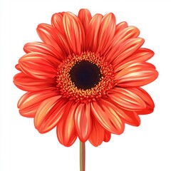 vector graphic of a red gerbera flower