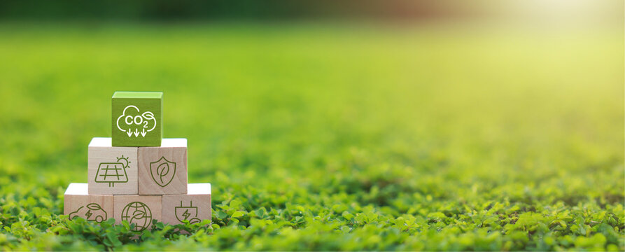 Wooden block for co2, ESG and net zero. Carbon reduction strategy and action to limit climate change and global warming. world environment day, world earth day. green business