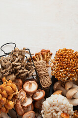Tasty raw mushrooms collection. Healthy food concept