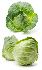 Obraz premium cabbage on a white background