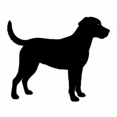 Dog Silhouette svg, Digital Download, Dog Silhouette svg bundle,Dog Silhouette png,Dog Breed Silhouettes, Dog Breed SVG