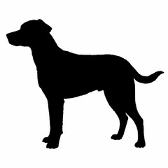 Dog Silhouette svg, Digital Download, Dog Silhouette svg bundle,Dog Silhouette png,Dog Breed Silhouettes, Dog Breed SVG