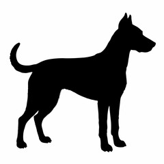 Dog Silhouette svg, Digital Download, Dog Silhouette svg bundle,Dog Silhouette png,Dog Breed Silhouettes, Dog Breed SVG