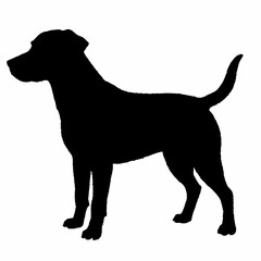 Dog Silhouette svg, Digital Download, Dog Silhouette svg bundle,Dog Silhouette png,Dog Breed Silhouettes, Dog Breed SVG