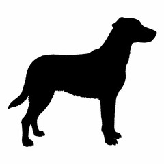 Dog Silhouette svg, Digital Download, Dog Silhouette svg bundle,Dog Silhouette png,Dog Breed Silhouettes, Dog Breed SVG