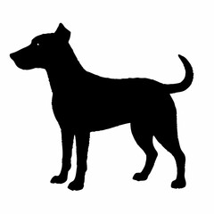 Dog Silhouette svg, Digital Download, Dog Silhouette svg bundle,Dog Silhouette png,Dog Breed Silhouettes, Dog Breed SVG