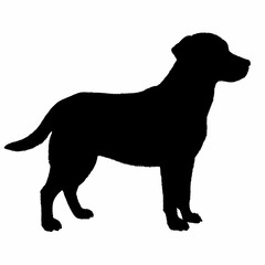 Dog Silhouette svg, Digital Download, Dog Silhouette svg bundle,Dog Silhouette png,Dog Breed Silhouettes, Dog Breed SVG