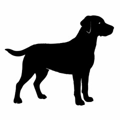 Dog Silhouette svg, Digital Download, Dog Silhouette svg bundle,Dog Silhouette png,Dog Breed Silhouettes, Dog Breed SVG