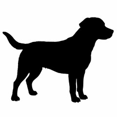 Dog Silhouette svg, Digital Download, Dog Silhouette svg bundle,Dog Silhouette png,Dog Breed Silhouettes, Dog Breed SVG