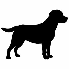 Dog Silhouette svg, Digital Download, Dog Silhouette svg bundle,Dog Silhouette png,Dog Breed Silhouettes, Dog Breed SVG
