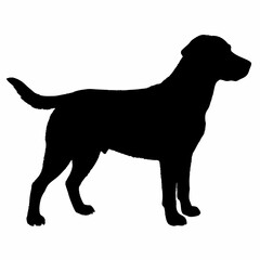 Dog Silhouette svg, Digital Download, Dog Silhouette svg bundle,Dog Silhouette png,Dog Breed Silhouettes, Dog Breed SVG