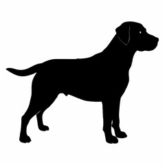 Dog Silhouette svg, Digital Download, Dog Silhouette svg bundle,Dog Silhouette png,Dog Breed Silhouettes, Dog Breed SVG