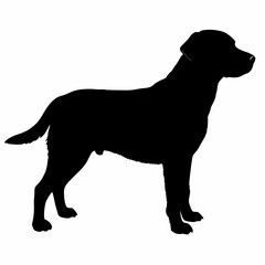 Dog Silhouette svg, Digital Download, Dog Silhouette svg bundle,Dog Silhouette png,Dog Breed Silhouettes, Dog Breed SVG