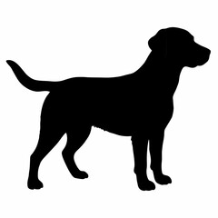 Dog Silhouette svg, Digital Download, Dog Silhouette svg bundle,Dog Silhouette png,Dog Breed Silhouettes, Dog Breed SVG