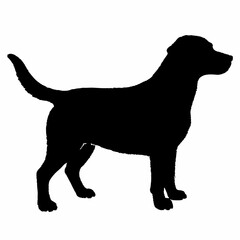 Dog Silhouette svg, Digital Download, Dog Silhouette svg bundle,Dog Silhouette png,Dog Breed Silhouettes, Dog Breed SVG