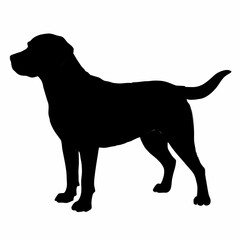 Dog Silhouette svg, Digital Download, Dog Silhouette svg bundle,Dog Silhouette png,Dog Breed Silhouettes, Dog Breed SVG