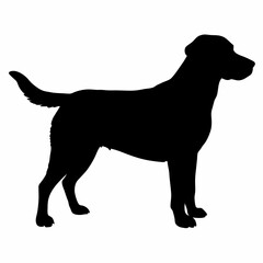 Dog Silhouette svg, Digital Download, Dog Silhouette svg bundle,Dog Silhouette png,Dog Breed Silhouettes, Dog Breed SVG