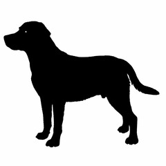 Dog Silhouette svg, Digital Download, Dog Silhouette svg bundle,Dog Silhouette png,Dog Breed Silhouettes, Dog Breed SVG