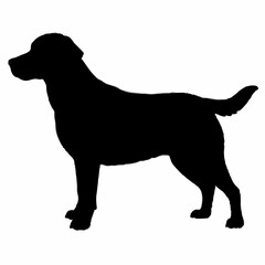 Dog Silhouette svg, Digital Download, Dog Silhouette svg bundle,Dog Silhouette png,Dog Breed Silhouettes, Dog Breed SVG