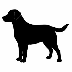 Dog Silhouette svg, Digital Download, Dog Silhouette svg bundle,Dog Silhouette png,Dog Breed Silhouettes, Dog Breed SVG