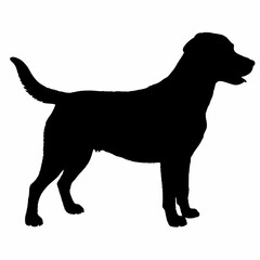 Dog Silhouette svg, Digital Download, Dog Silhouette svg bundle,Dog Silhouette png,Dog Breed Silhouettes, Dog Breed SVG