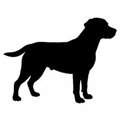 Dog Silhouette svg, Digital Download, Dog Silhouette svg bundle,Dog Silhouette png,Dog Breed Silhouettes, Dog Breed SVG