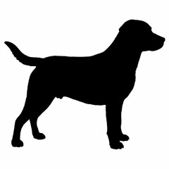 Dog Silhouette svg, Digital Download, Dog Silhouette svg bundle,Dog Silhouette png,Dog Breed Silhouettes, Dog Breed SVG