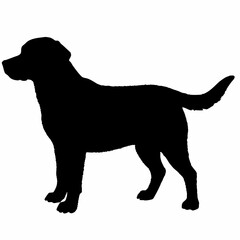 Dog Silhouette svg, Digital Download, Dog Silhouette svg bundle,Dog Silhouette png,Dog Breed Silhouettes, Dog Breed SVG