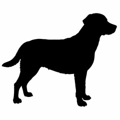 Dog Silhouette svg, Digital Download, Dog Silhouette svg bundle,Dog Silhouette png,Dog Breed Silhouettes, Dog Breed SVG