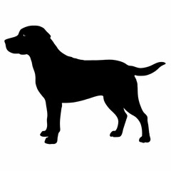 Dog Silhouette svg, Digital Download, Dog Silhouette svg bundle,Dog Silhouette png,Dog Breed Silhouettes, Dog Breed SVG