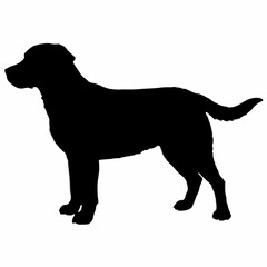 Dog Silhouette svg, Digital Download, Dog Silhouette svg bundle,Dog Silhouette png,Dog Breed Silhouettes, Dog Breed SVG