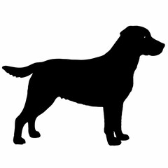 Dog Silhouette svg, Digital Download, Dog Silhouette svg bundle,Dog Silhouette png,Dog Breed Silhouettes, Dog Breed SVG