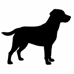 Dog Silhouette svg, Digital Download, Dog Silhouette svg bundle,Dog Silhouette png,Dog Breed Silhouettes, Dog Breed SVG