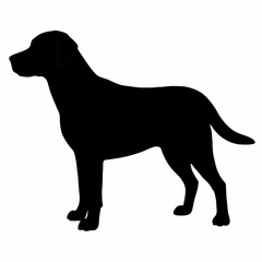 Dog Silhouette svg, Digital Download, Dog Silhouette svg bundle,Dog Silhouette png,Dog Breed Silhouettes, Dog Breed SVG
