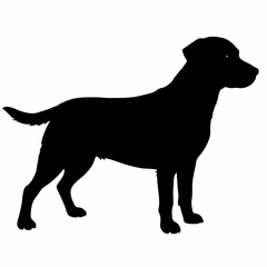 Dog Silhouette svg, Digital Download, Dog Silhouette svg bundle,Dog Silhouette png,Dog Breed Silhouettes, Dog Breed SVG