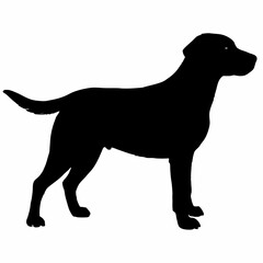 Dog Silhouette svg, Digital Download, Dog Silhouette svg bundle,Dog Silhouette png,Dog Breed Silhouettes, Dog Breed SVG