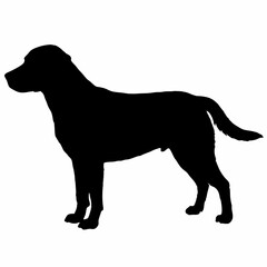 Dog Silhouette svg, Digital Download, Dog Silhouette svg bundle,Dog Silhouette png,Dog Breed Silhouettes, Dog Breed SVG