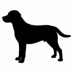 Dog Silhouette svg, Digital Download, Dog Silhouette svg bundle,Dog Silhouette png,Dog Breed Silhouettes, Dog Breed SVG