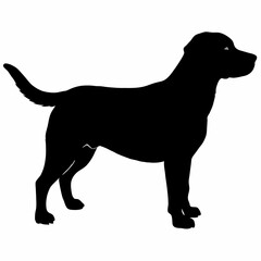 Dog Silhouette svg, Digital Download, Dog Silhouette svg bundle,Dog Silhouette png,Dog Breed Silhouettes, Dog Breed SVG