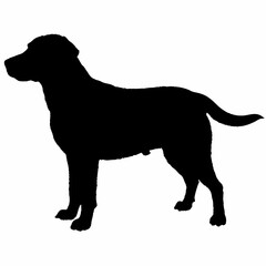 Dog Silhouette svg, Digital Download, Dog Silhouette svg bundle,Dog Silhouette png,Dog Breed Silhouettes, Dog Breed SVG