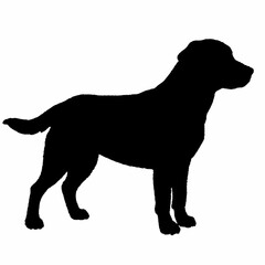 Dog Silhouette svg, Digital Download, Dog Silhouette svg bundle,Dog Silhouette png,Dog Breed Silhouettes, Dog Breed SVG
