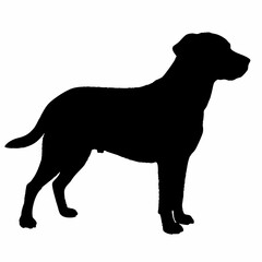 Dog Silhouette svg, Digital Download, Dog Silhouette svg bundle,Dog Silhouette png,Dog Breed Silhouettes, Dog Breed SVG